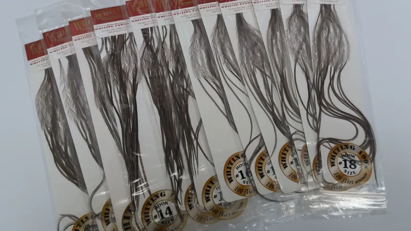 Whiting 100 Saddle Hackle Pack in Dark Dun